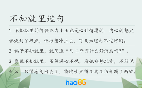 不知就里造句