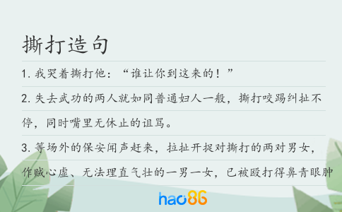 撕打造句