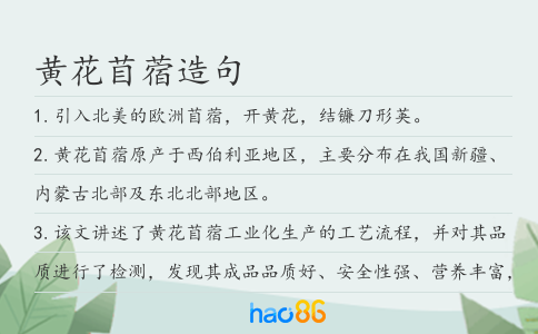 黃花苜蓿造句