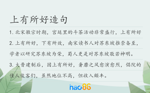 上有所好造句