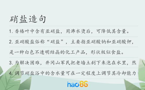 硝鹽造句
