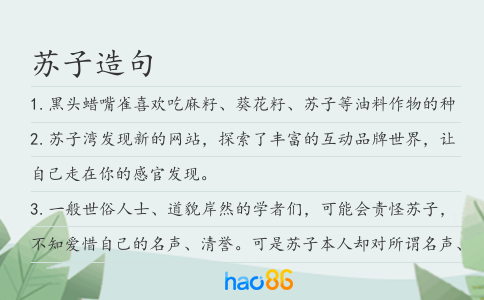 蘇子造句
