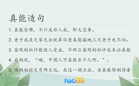 真能造句