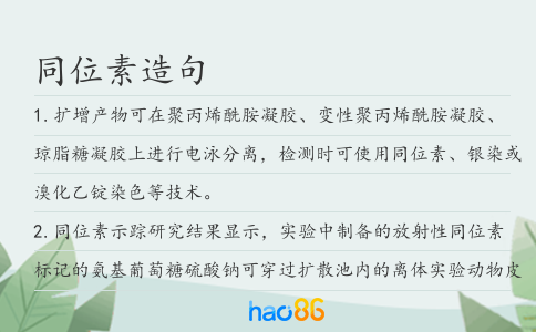 同位素造句