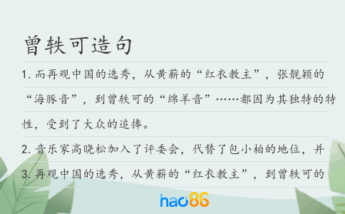 曾軼可造句