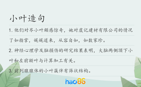 小葉造句