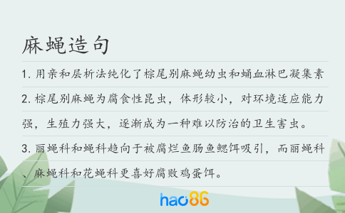 麻蠅造句