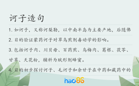 訶子造句