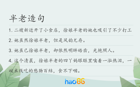 半老造句