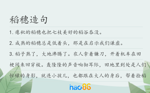 稻穗造句