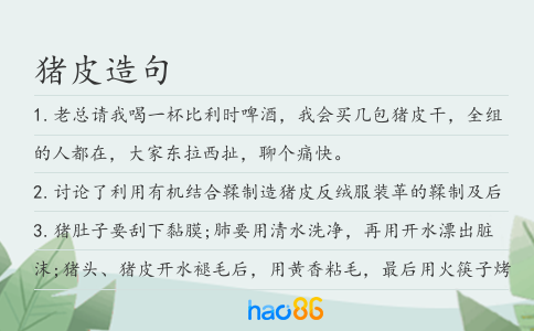 豬皮造句