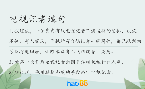 電視記者造句