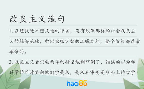 改良主義造句