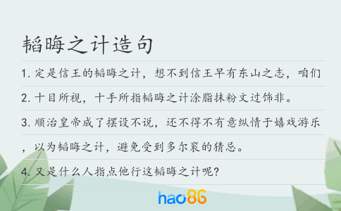韜晦之計(jì)造句