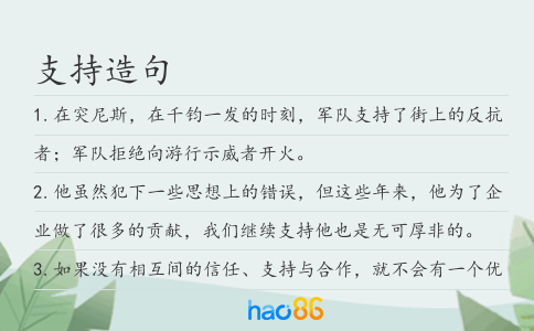 支持造句