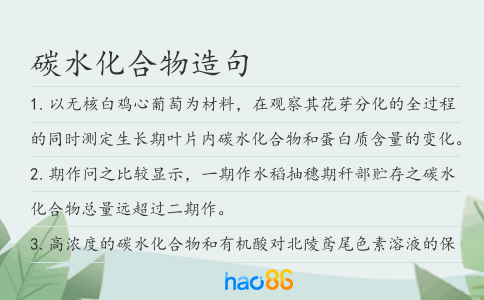 碳水化合物造句