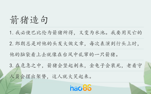 箭豬造句