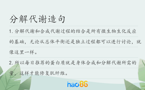 分解代謝造句