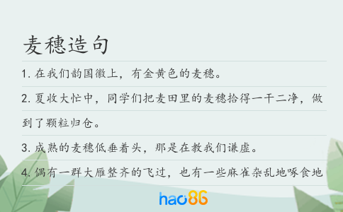 麥穗造句