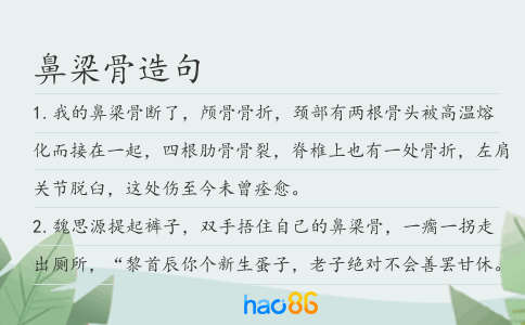 鼻梁骨造句