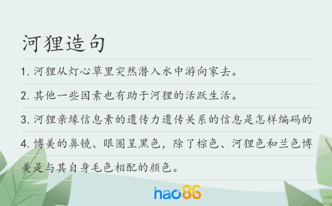 河貍造句