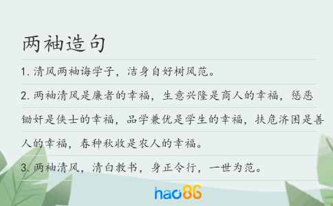 兩袖造句