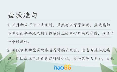 鹽城造句