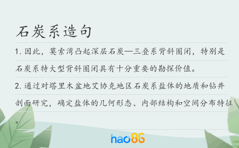 石炭系造句