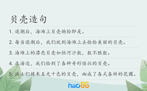 貝殼造句