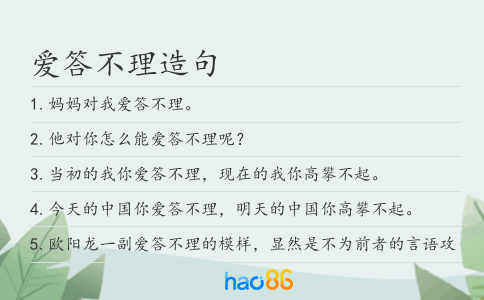 愛答不理造句