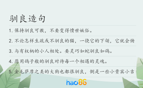 馴良造句