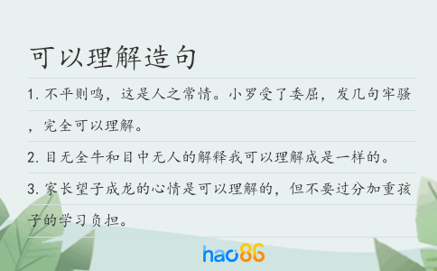 可以理解造句