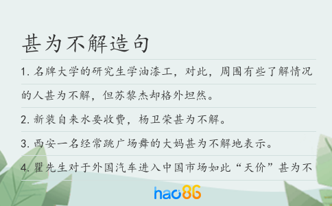 甚為不解造句