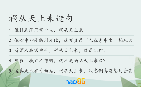 禍從天上來造句