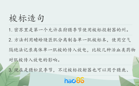 梭標(biāo)造句