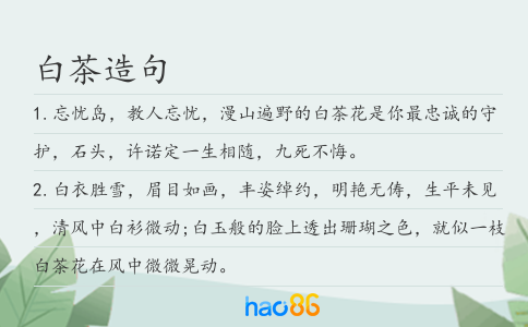 白茶造句