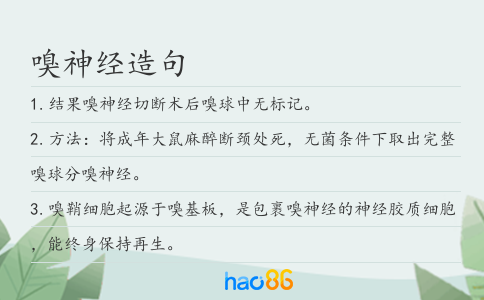 嗅神經(jīng)造句