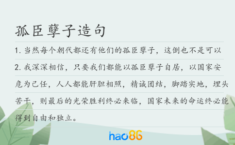 孤臣孽子造句