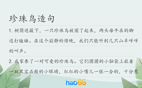 珍珠鳥造句