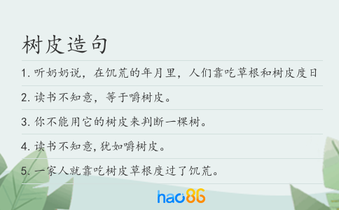樹(shù)皮造句