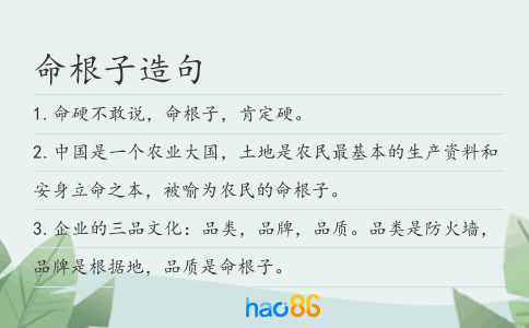 命根子造句