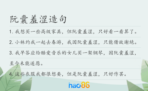 阮囊羞澀造句