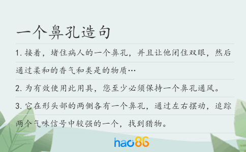 一個鼻孔造句