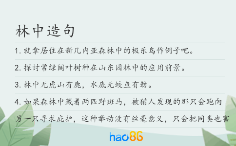 林中造句