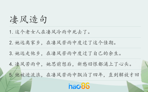 凄風造句