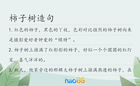 柿子樹造句