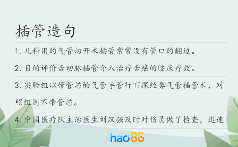 插管造句