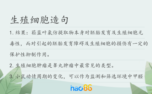 生殖細胞造句