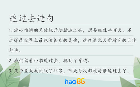追過去造句