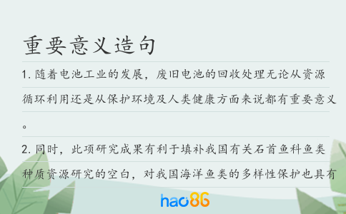 重要意義造句